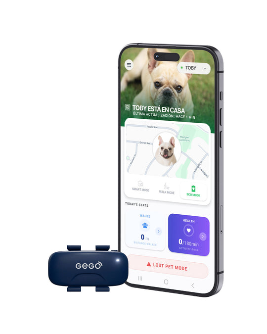 GEGO PET - No Subscription Included