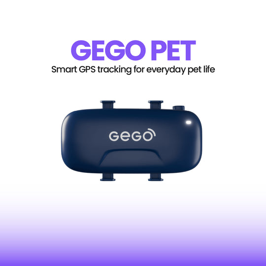 GEGO PET - No Subscription Included