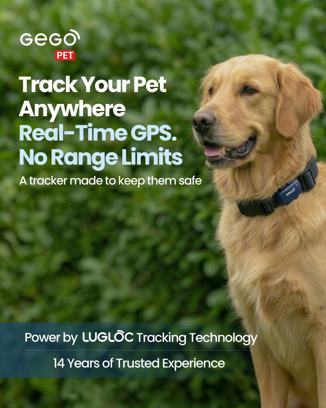 GEGO PET + 1 Year Subscription Included