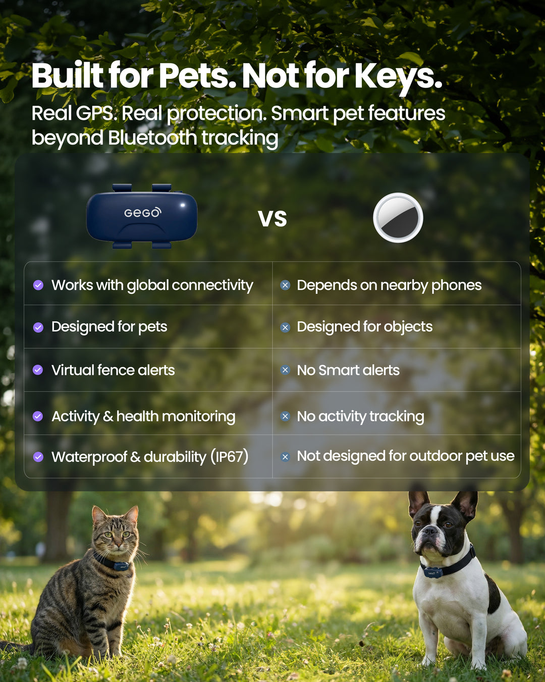 GEGO PET + 1 Year Subscription Included
