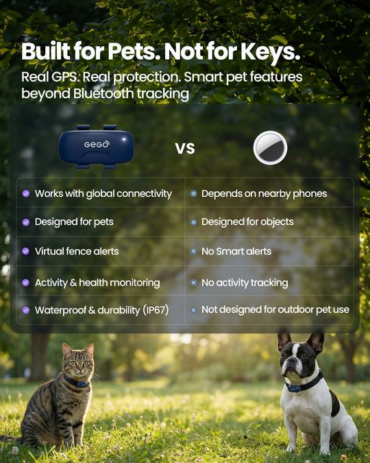 GEGO PET + 1 Year Subscription Included