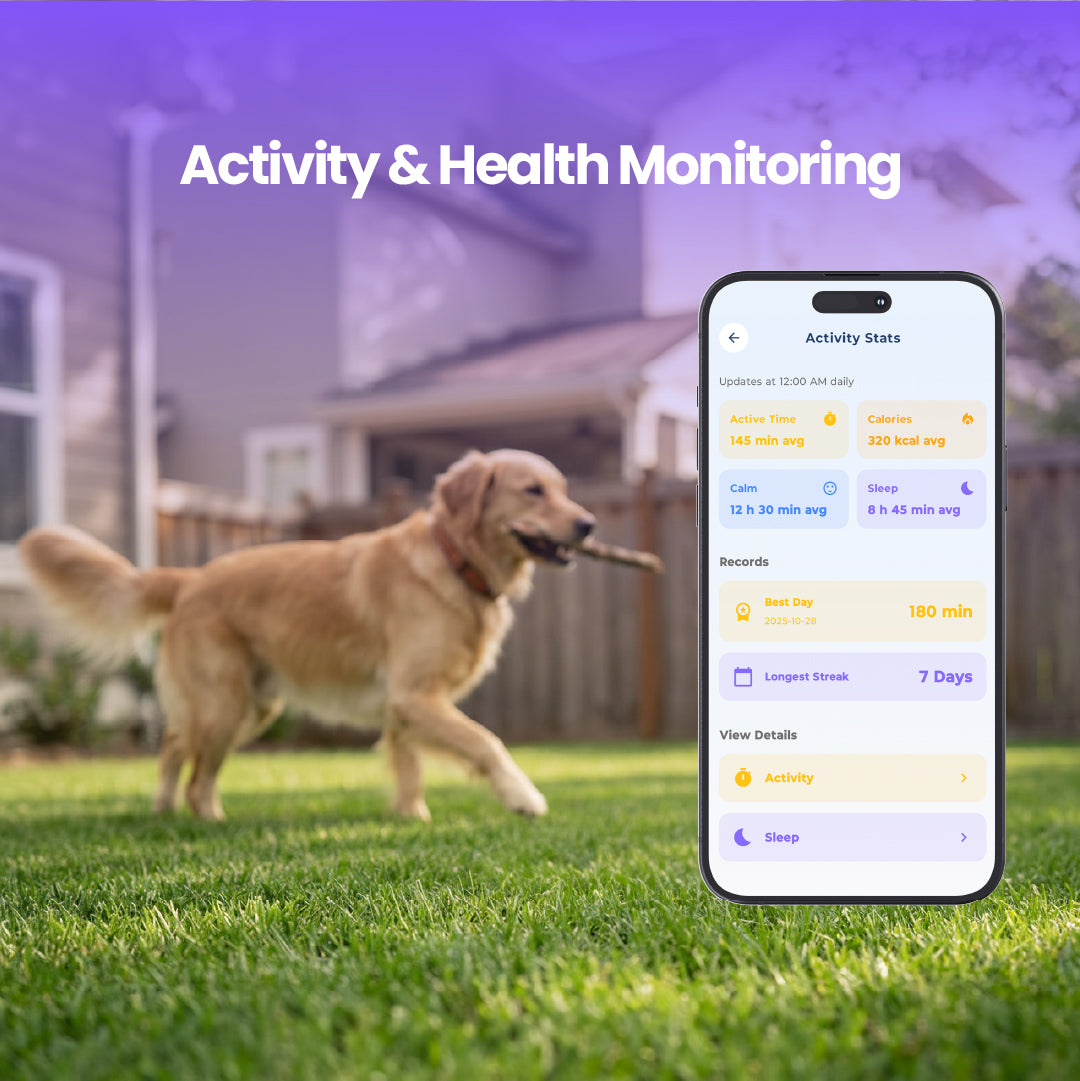 GPS Tracker for Dogs & Cats