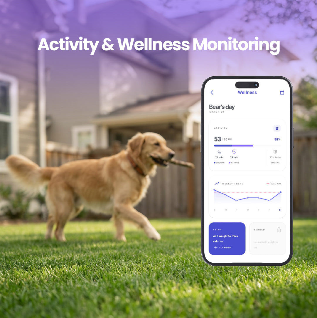 GEGO PET GPS TRACKER + Free Collar