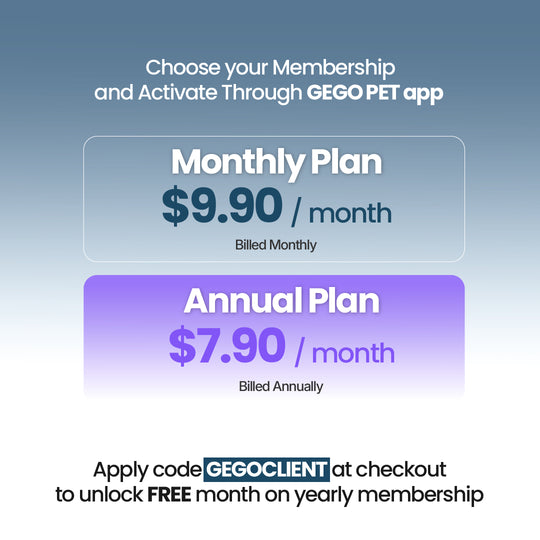 GEGO PET GPS TRACKER + Free Collar