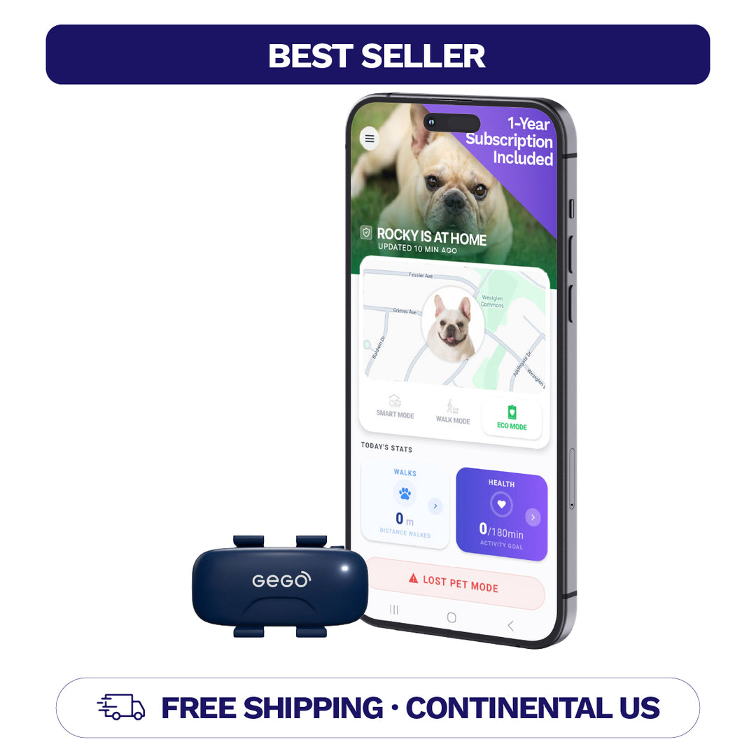 GEGO PET + 1 Year Subscription Included