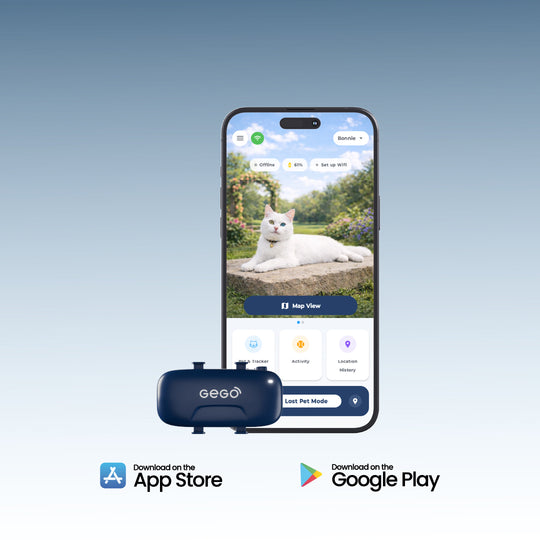 GEGO PET GPS TRACKER + Free Collar