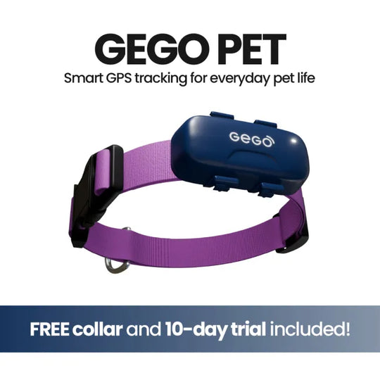 GEGO PET GPS TRACKER + Free Collar