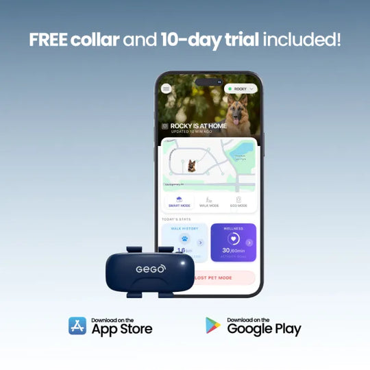 GEGO PET GPS TRACKER + Free Collar