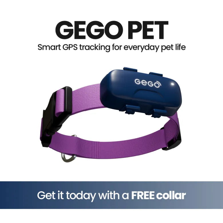 GEGO PET GPS TRACKER + Free Collar