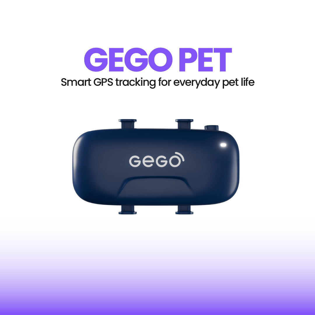GPS Tracker for Dogs & Cats