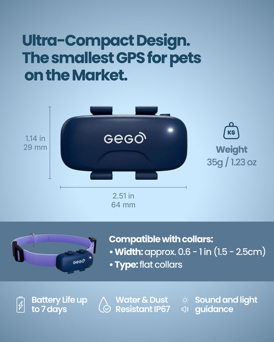 GEGO PET + 1 Year Subscription Included