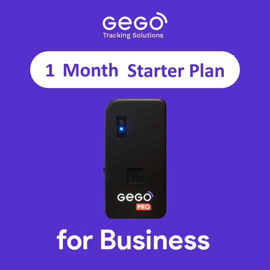 1 Month Plan for Business