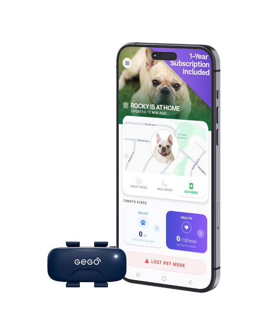 GEGO PET + 1 Year Subscription Included