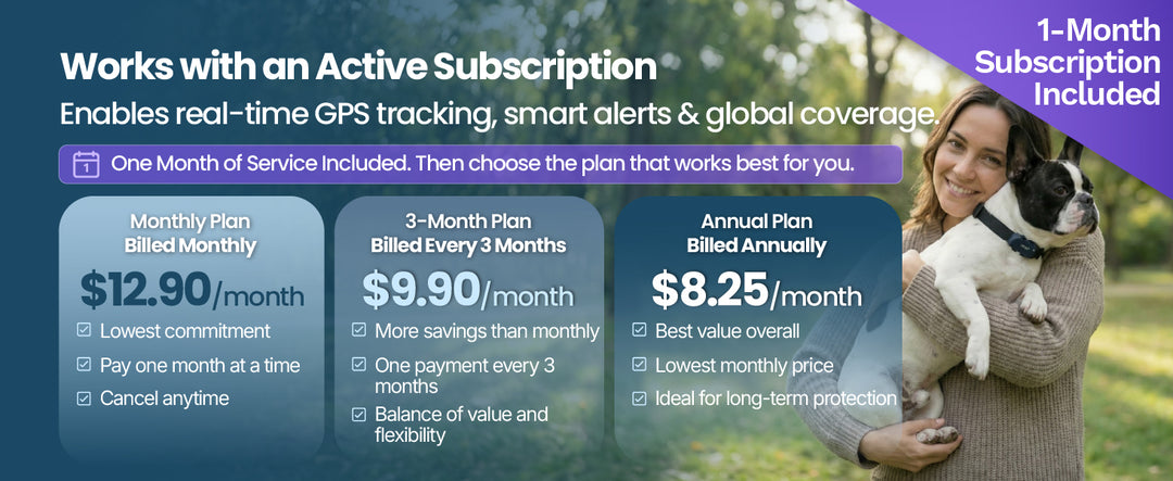 GEGO PET + 1 Month Subscription Included